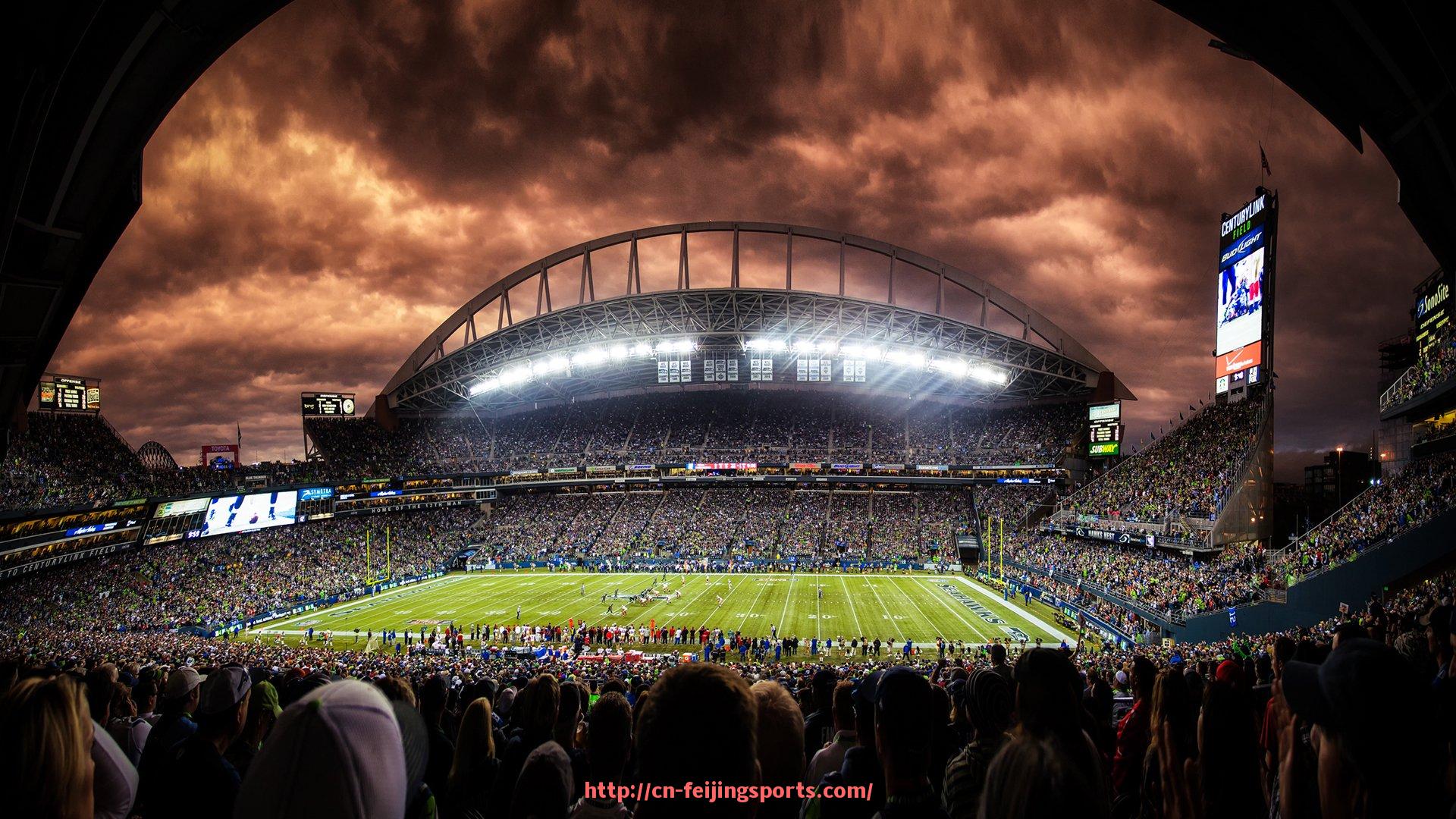 飞鲸体育直播-世俱杯球迷行为研究报告及应援文化探讨