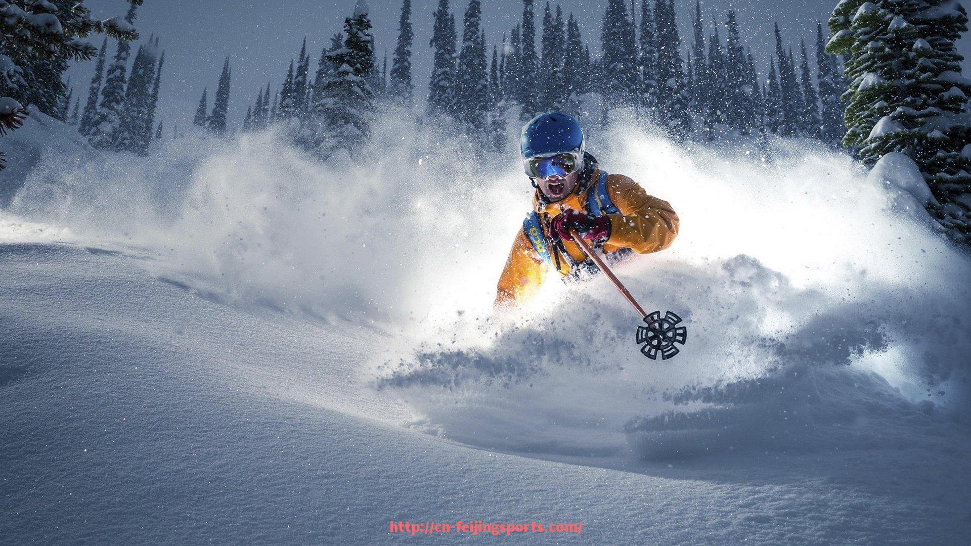 飞鲸体育直播-世俱杯球鞋中底支撑系统演化历程及性能优化研究