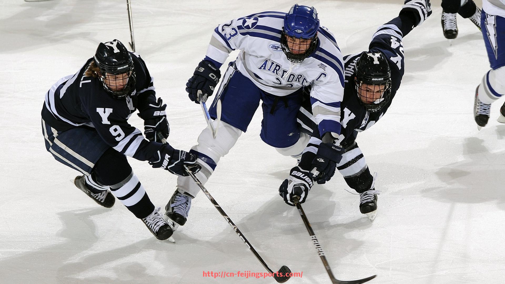 飞鲸体育直播-欧冠最新积分表实时更新与晋级形势预测